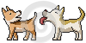 Pixel art dog pup buddy