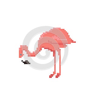 Pixel art flamingo isolated on white background