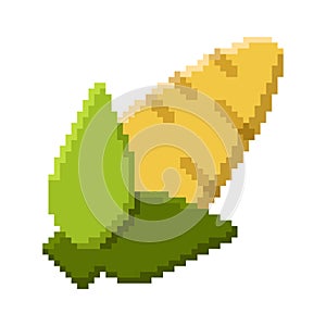 Pixel art icon. Pixel art corn icon. Cute pixel corn. Vegetables vector. 8 bit pixel corn. Old school computer graphic style.