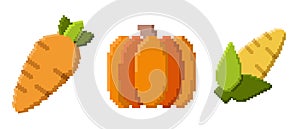 Pixel art icon. Pixel art vegetables icon. Cute pixel vegetables. 8 bit pixel vegetables. Old school computer graphic style.