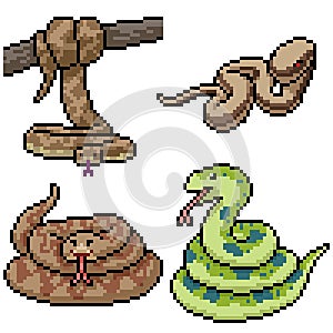 Pixel art isolated jungle snake