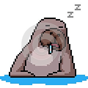 pixel art of seal sleep drool