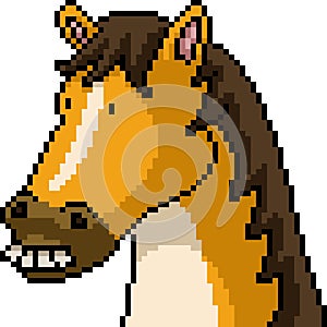 pixel art of stupid horse face