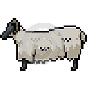 pixel art white sheep side