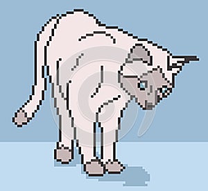 Pixel Cat Background