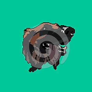 Pixel dog muzzle. Vector illustration.