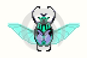 Pixel goliath beetle icon. Vector illustration
