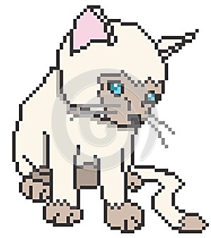 Pixel Kitten isolated on white