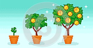 Pixel money tree in pot with coins growing photo