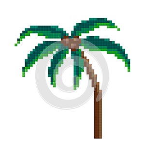 Pixel palm, pixel art. vector illustration