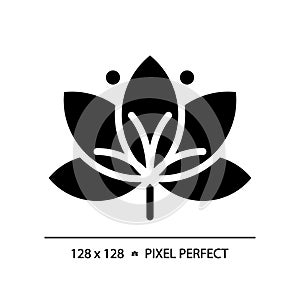 Pixel perfect lotus glyph style black icon