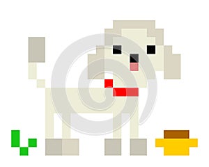 Pixel poodle dog with food's image. Silver dog pattern, Vector Illustration