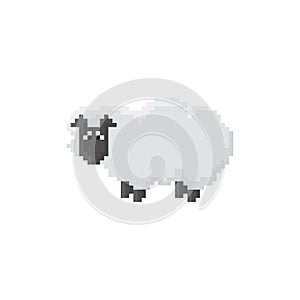 Pixel sheep isolated on white background.