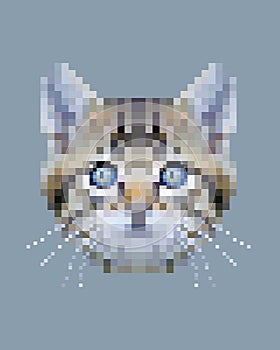 Pixel siberian cat face