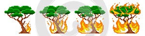 Pixel tree combustion fire stage. Fire is gradually engulfing green large tree.