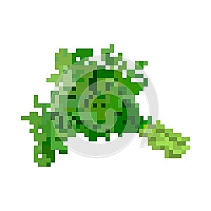 Pixelated bundle of potherbs