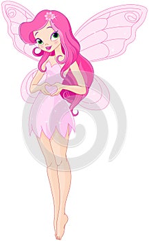 Pixy Fairy