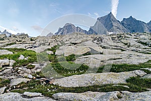 Piz Badile (Pizzo Badile), high alpine granit peak in summer