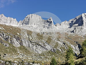 Piz Badile Pizzo seen from Val Masino, Italy.