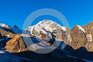 Piz Bernina in morning sunshine