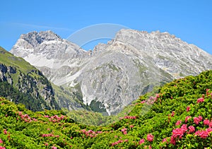 Piz Ela in Switzerland Alps photo