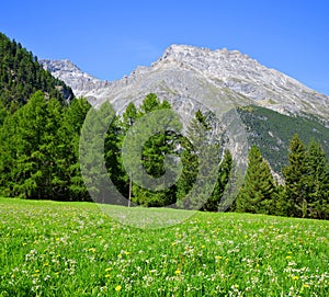 Piz Ela in Switzerland Alps - Canton Graubunden. photo