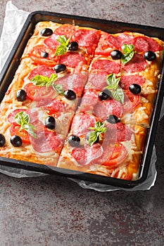 Pizza al Taglio with cheese, sausage, olives and tomatoes closeup on the tray. Vertical photo