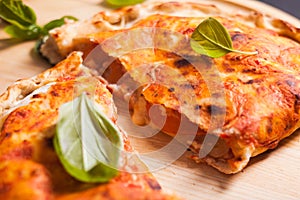 Pizza calzone