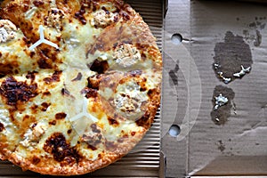 Pizza in a cardboard box isolated on white background.