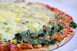 Pizza close-up (crust)
