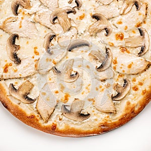 Pizza Close Up with mushrooms, meat white sause and cheese isolated on white background. Copyspace. Top view