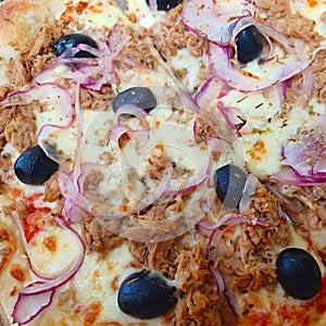 Pizza closeup olives onion tuna