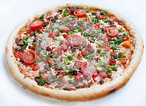 Pizza, different kinds of pizzas to the menu of restaurant and pizzeria photo