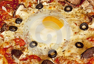 A pizza with fried egg including black olives,mushroom,cheese