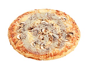 Pizza Funghi