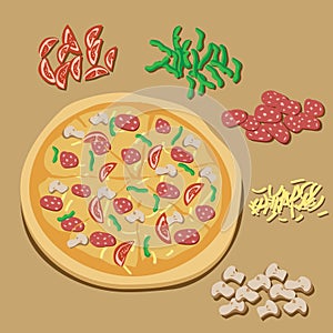 Pizza illustration