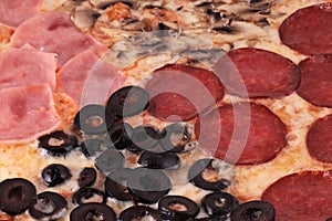 Pizza Le Quattro Stagioni Detail photo