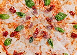 Pizza margarita with sun-dried tomatoes. Tasty traditional italian cuisine.