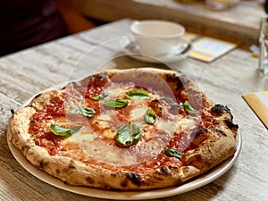 Pizza margherita with basil photo