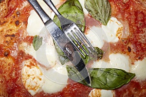 Pizza margherita close up