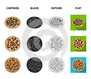 Pizza with meat, cheese and other filling. Different pizza set collection icons in cartoon,black,outline,flat style