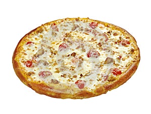 Pizza with mozzarella, chedar