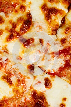 Pizza with mozzarella cheese texture as background. A close shot of a pizza. Macro photo. Margherita pizza