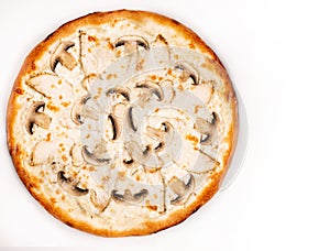 Pizza with mushrooms, meat white sause and cheese isolated on white background. Copyspace. Top view