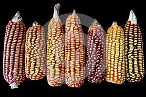 Pizza with Parma ham, figs, rucula and honey