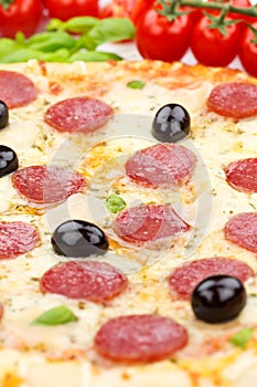 Pizza pepperoni salami baking ingredients close up portrait format on wooden board