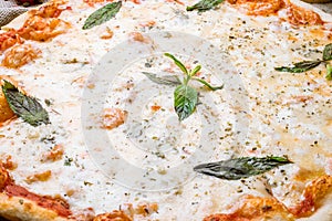 Pizza Quattro formaggi with mint on table