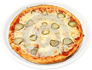 Pizza Rustica photo