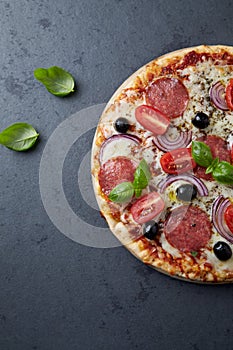 Pizza with salami, mozzarella cheese, cherry tomatoes, black olives, red onion and oregano.