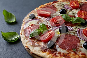 Pizza with salami, mozzarella cheese, cherry tomatoes, black olives, red onion and oregano.